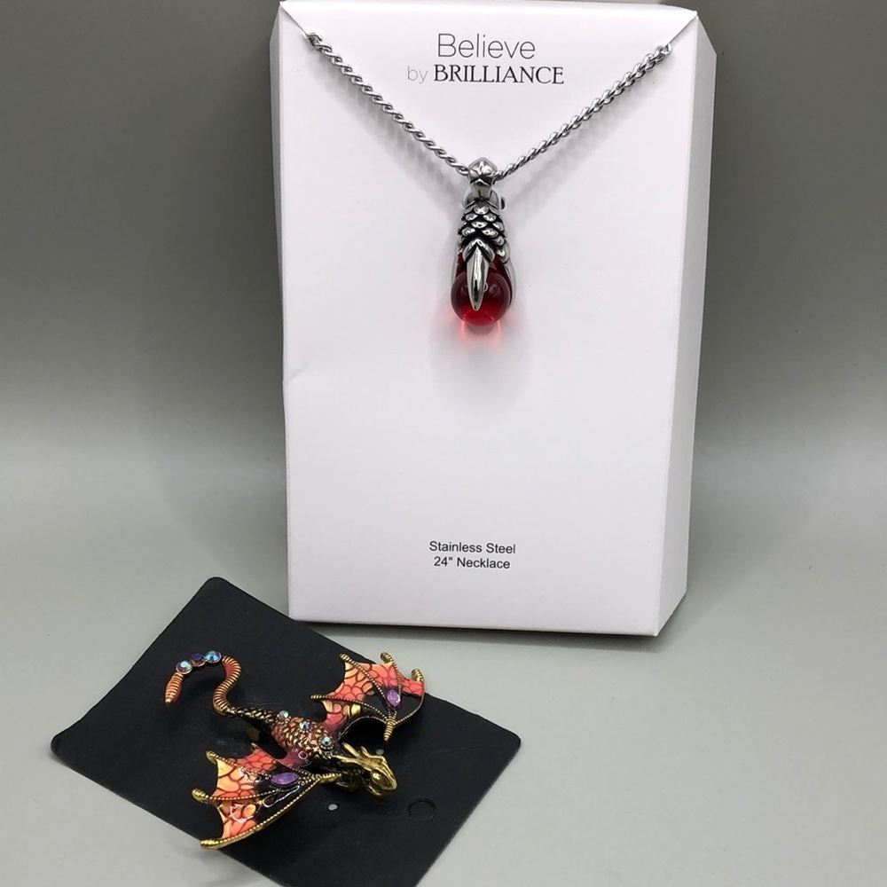 Curated bundle dragon fairytail jewelry brooch-pendant stainless steel necklace.